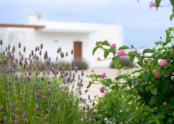 Marar Local 別荘 *